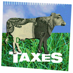 taxes-2925011
