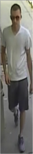 shrews-suspect-081115-2-48x220-3162682