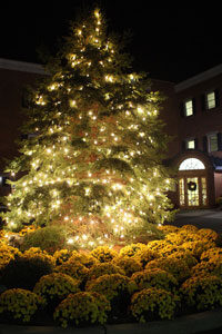 tree-lighting_special-events200-1474393