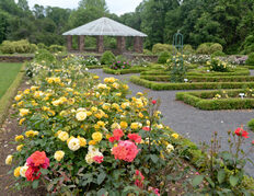 deep-cut-rose-garden-6554993