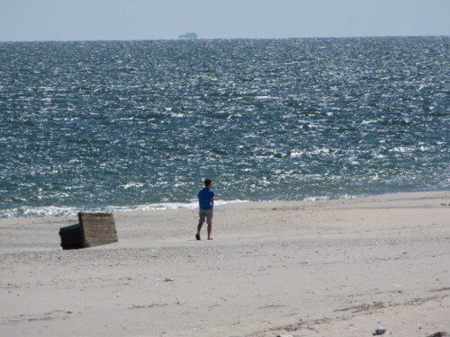 sb-beach-033016-2-500x375-7131037
