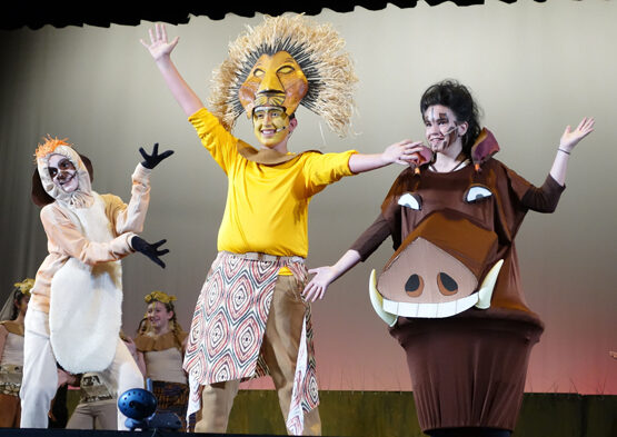 lionking5-2239507