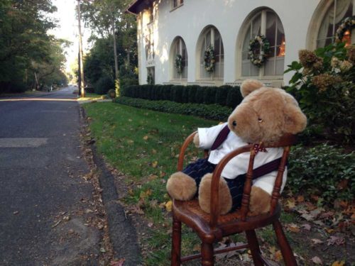 chair-bear-101916-500x375-7680040