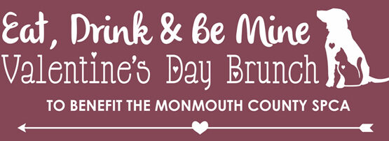 mcspca-brunch-6304552
