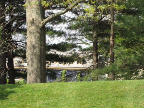 springsteen-rumson-east-051116-500x375-3925620