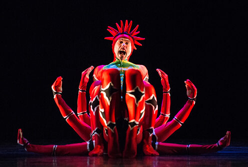 momix-opus-cactus-6531231
