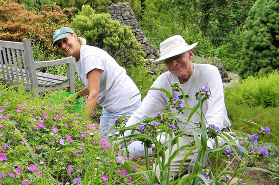 monmouth-parks-gardening-8368085