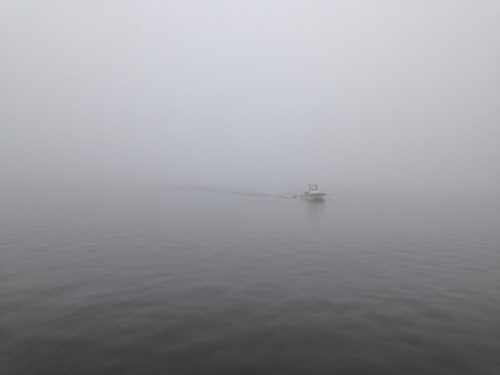rb-fog-032717-500x375-8583466