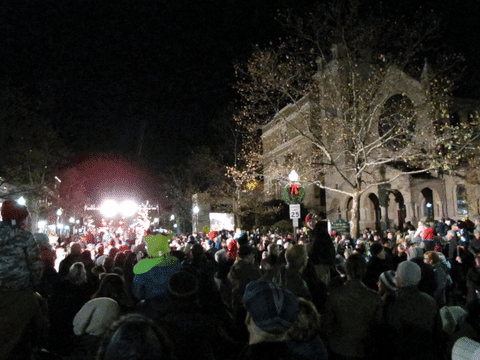 rb-tree-lighting-112417-4082508