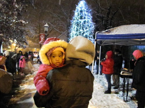 rb-tree-lighting-120917-6-500x375-2329058