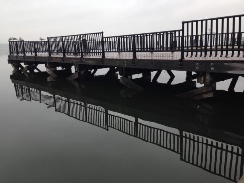 rb-marine-park-021518-500x375-4456799