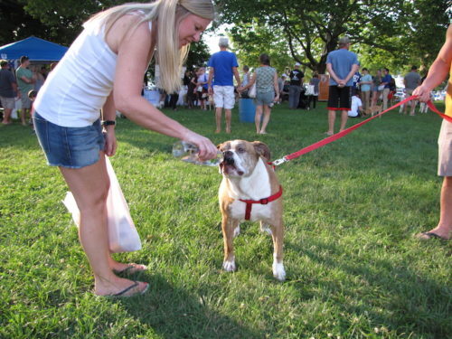 rb-dog-days-062518-9-500x375-4674892