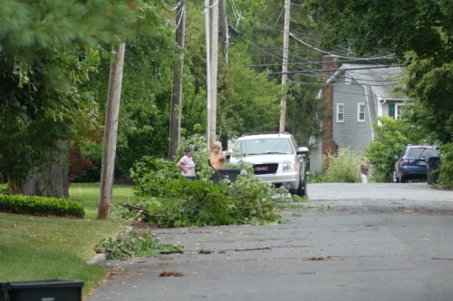 fair-haven-tree-down-072319-500x332-3812158