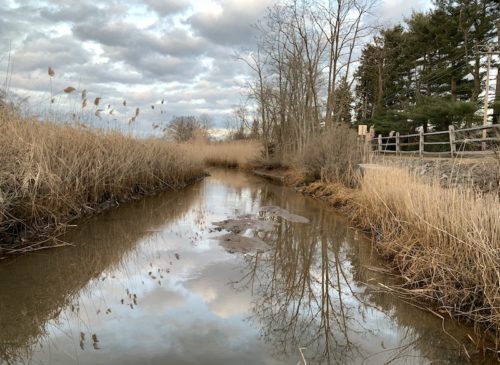 little-silver-creek-020920-500x365-1590747