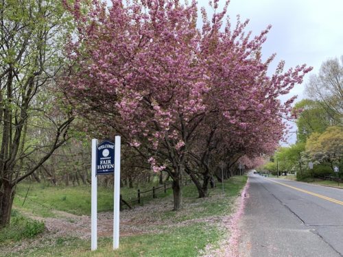 fair-haven-road-043020-500x375-7542498