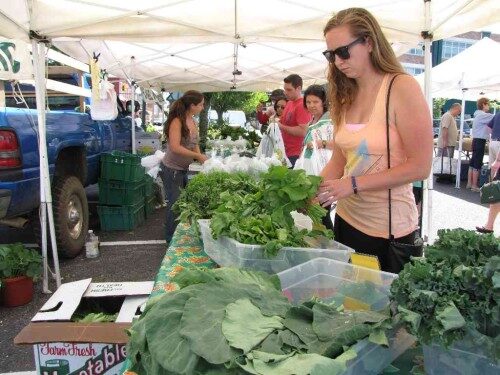 rb-farm-mkt-061514-11-500x375-9125387