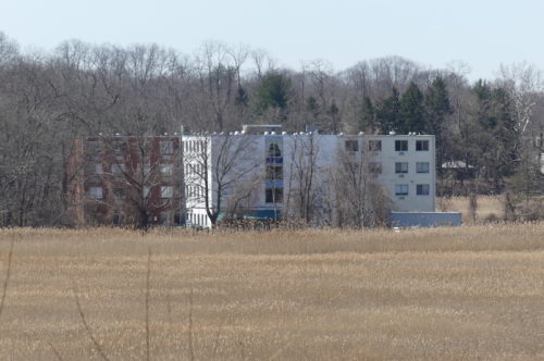 red-bank-chapin-hill-032819-500x332-7534467