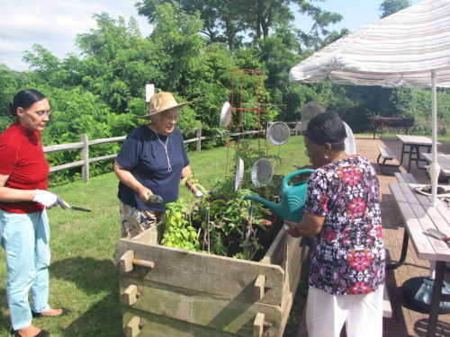 red-bank-senior-center-071416-500x375-6631402