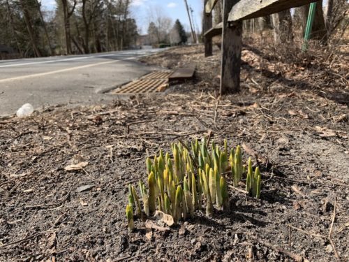 fair-haven-weather-030421-500x375-8046405