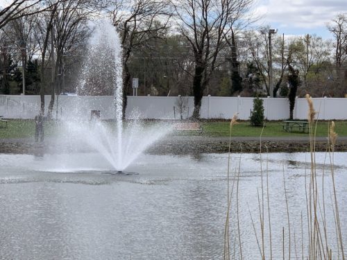 red-bank-mohawk-pond-041421-3-500x375-4921073
