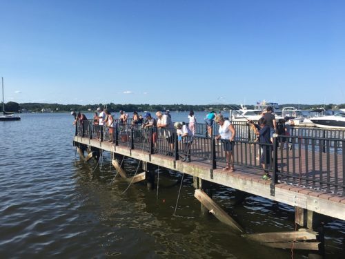 red-bank-navesink-marine-park-073121-500x375-9601305