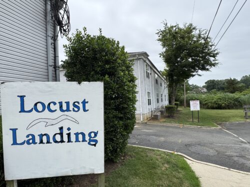 Locust Landing 062025