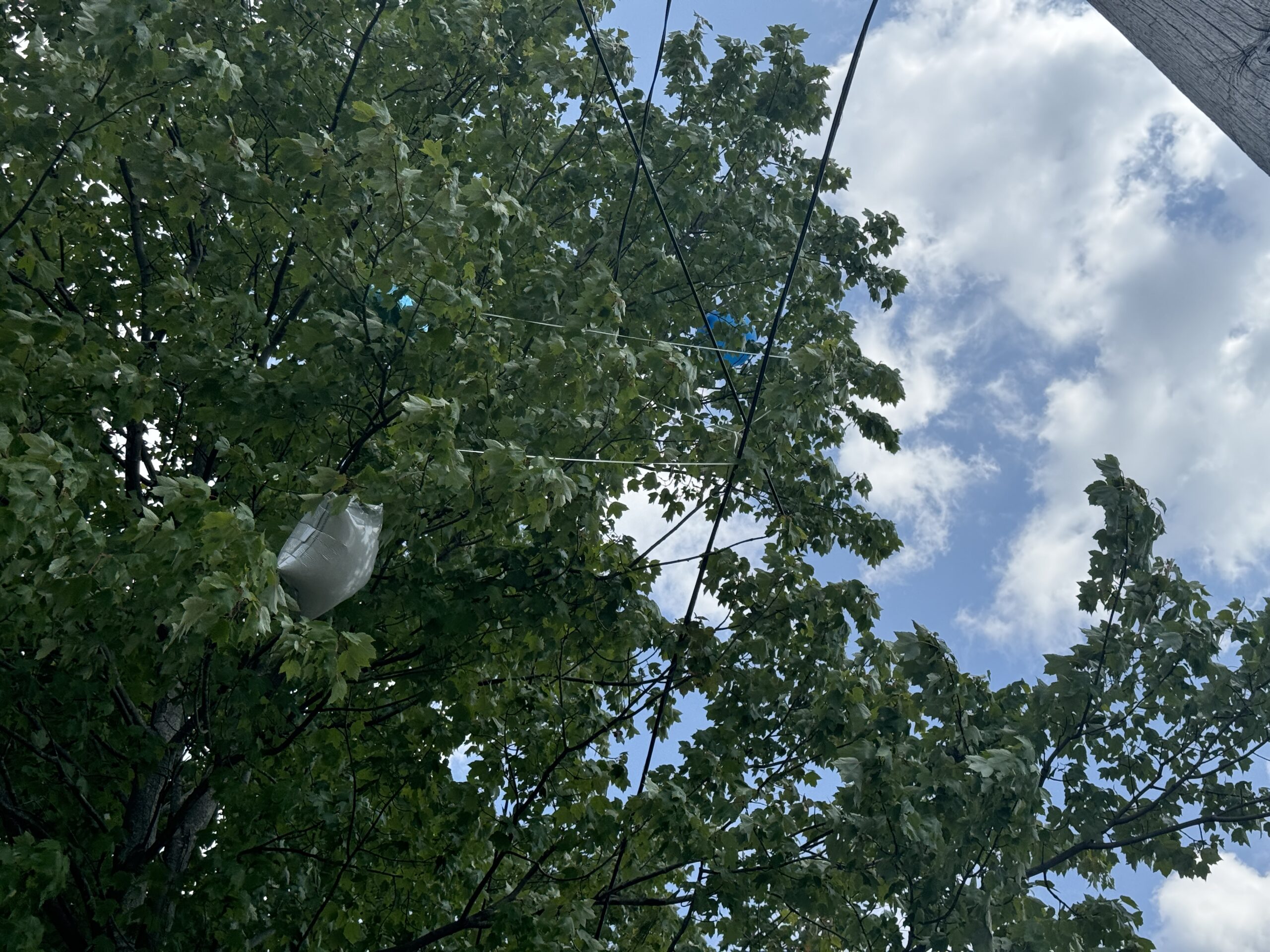 balloons in trees power outage 082562024