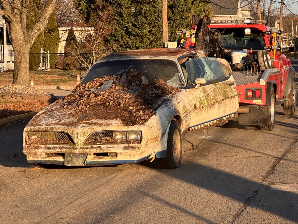 Macho Trans am 90 Bank Street Bill POku 12222025