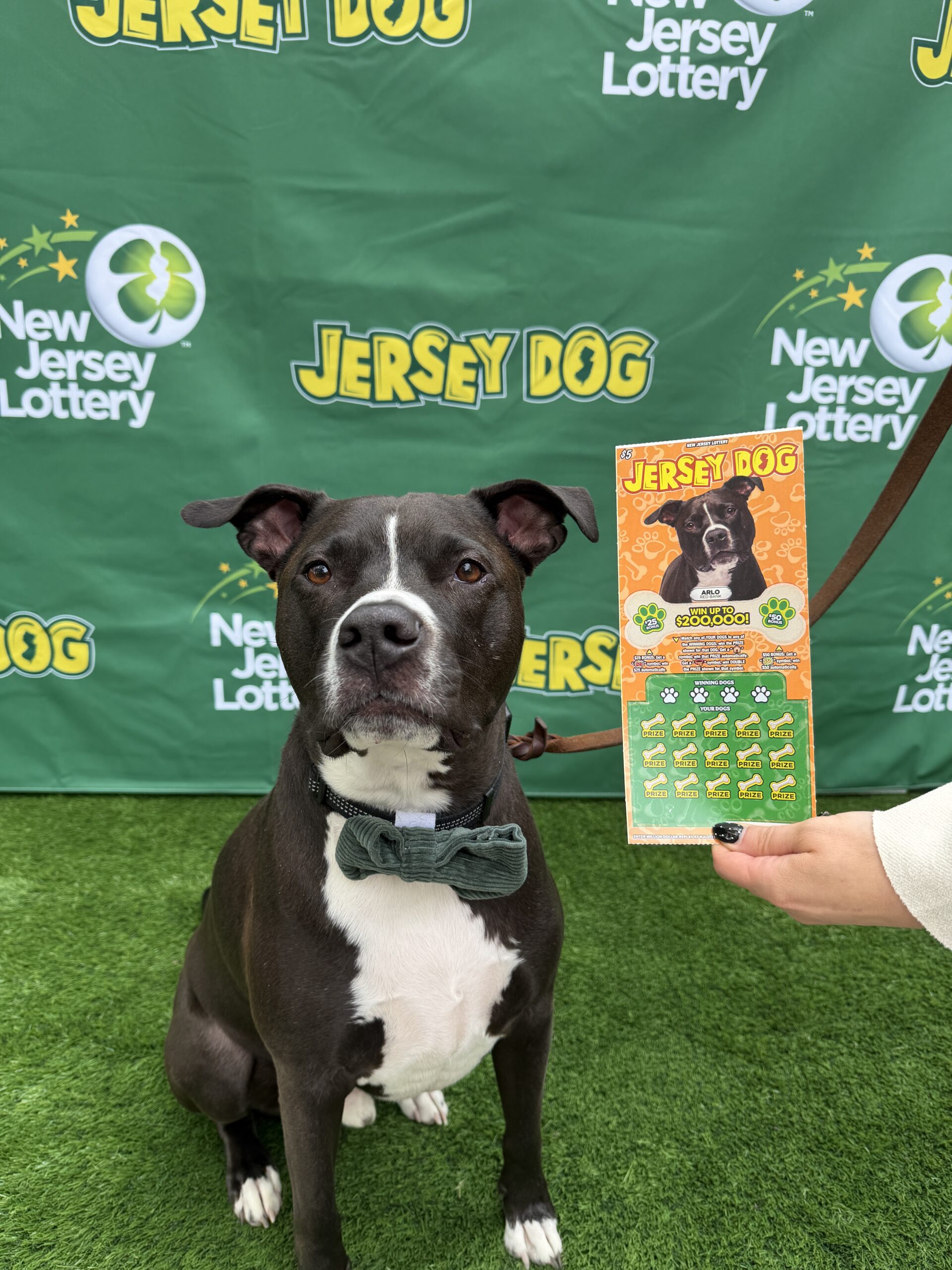 Arlo New Jersey lottery dog 04302026