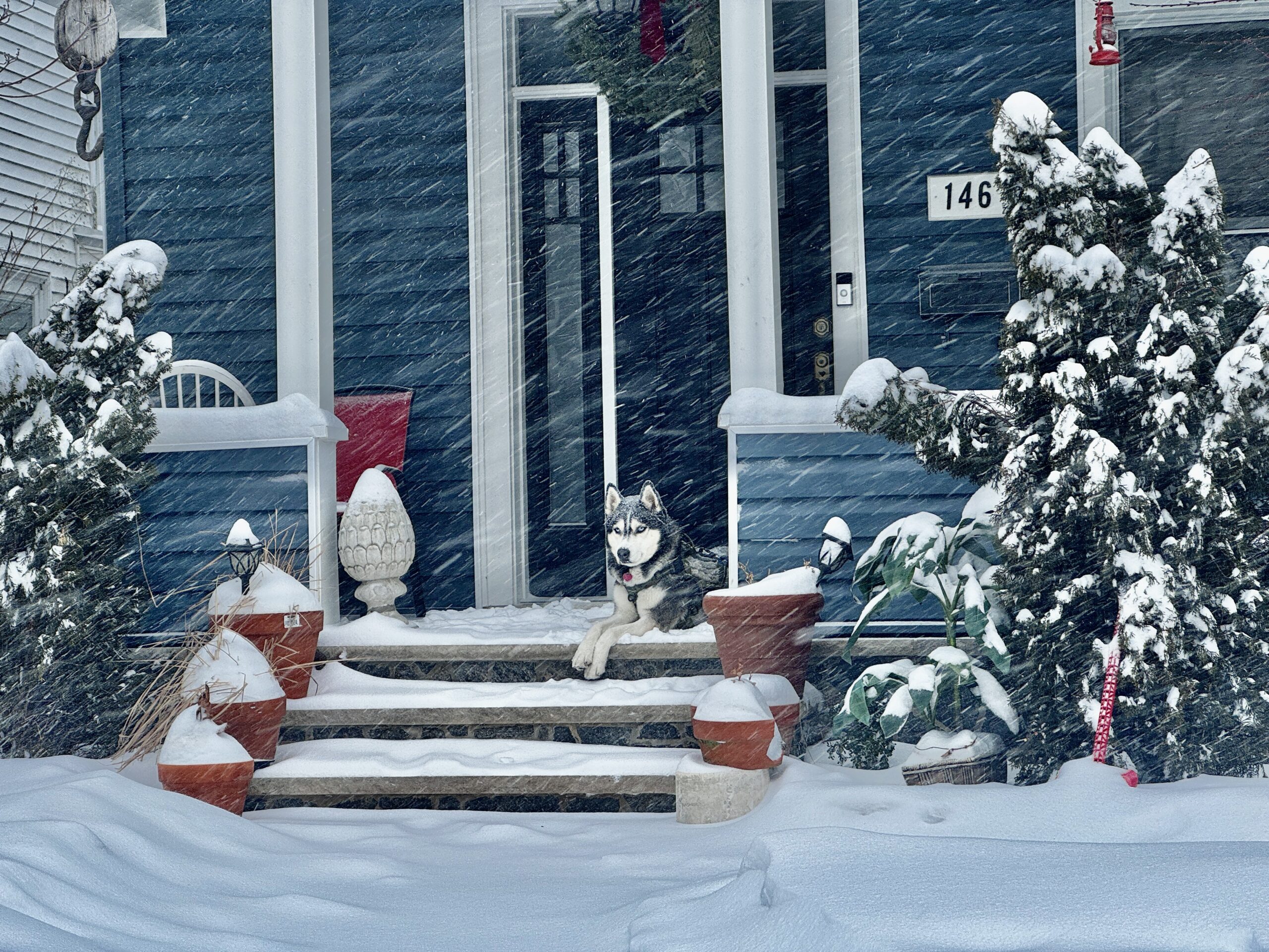 SNOW DAY! PHOTOS FROM A MARQUEE RED BANK SNOWSTORM - Red Bank Green