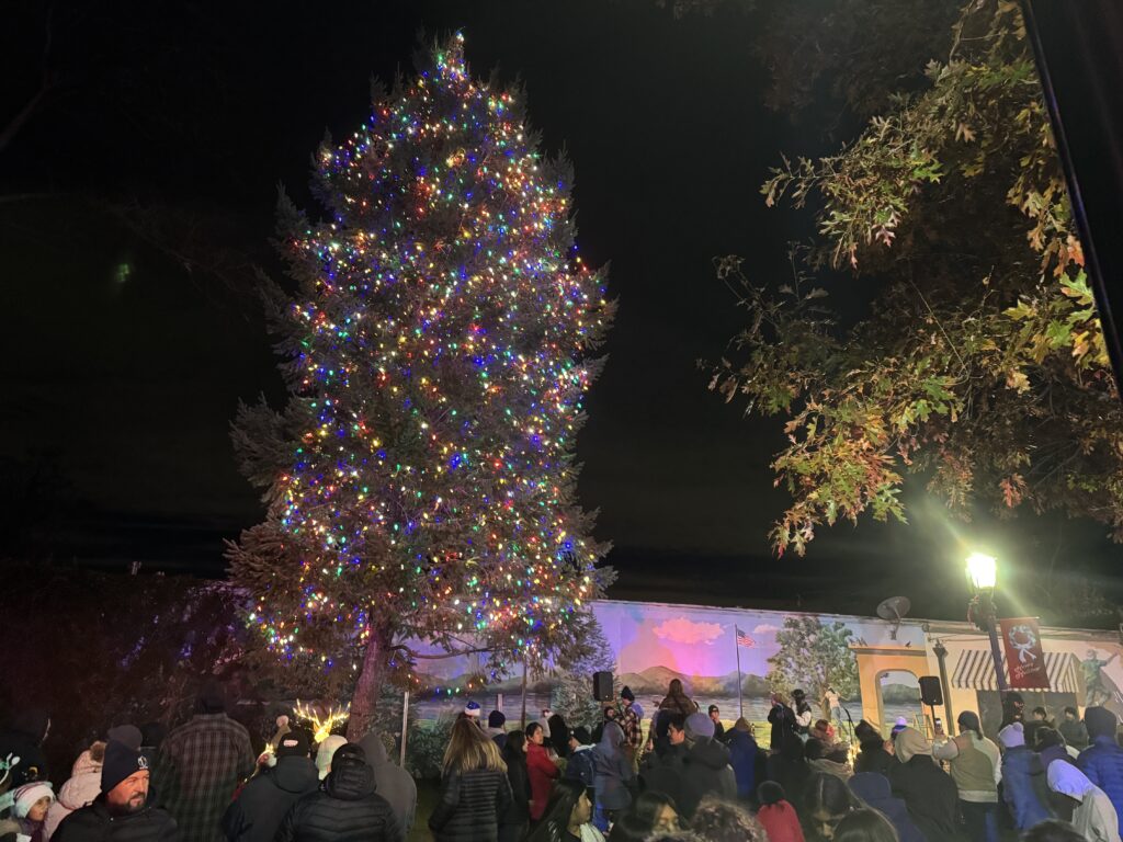 West Side Tree lighting Johnny Jazz Park 12062024