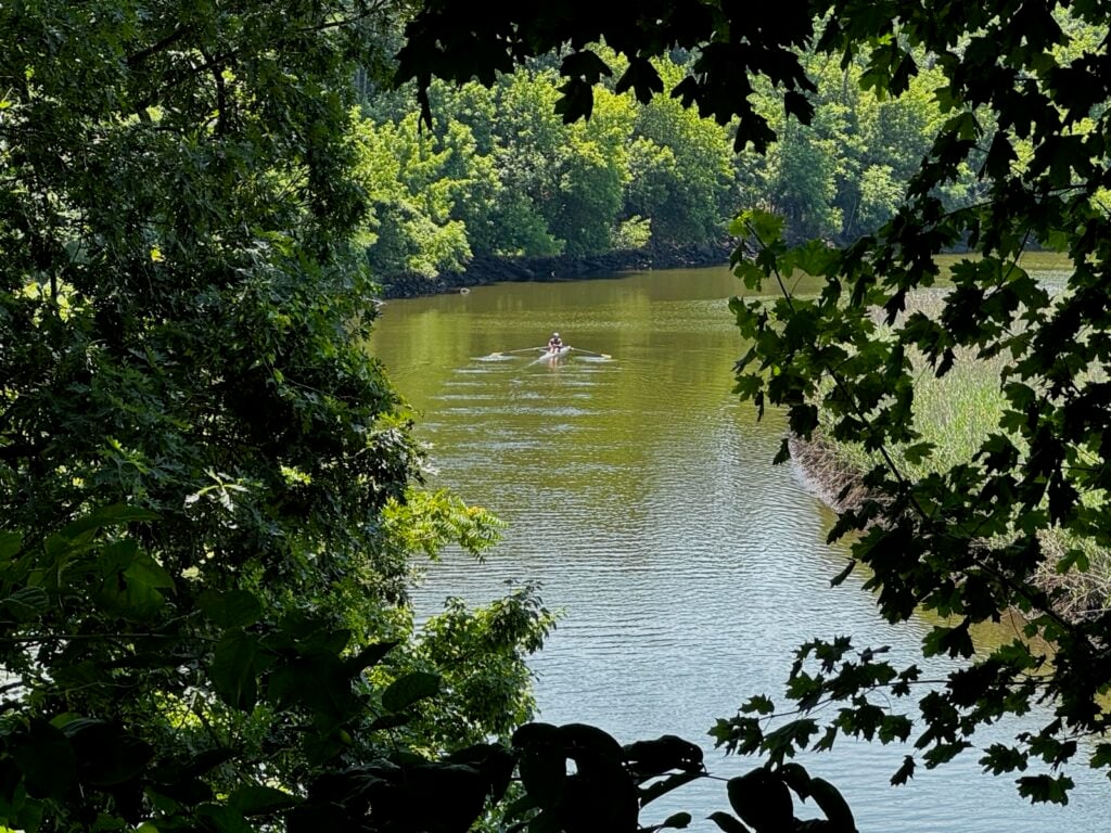 Swimming river sculling 062026