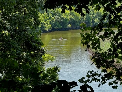 Swimming river sculling 062026