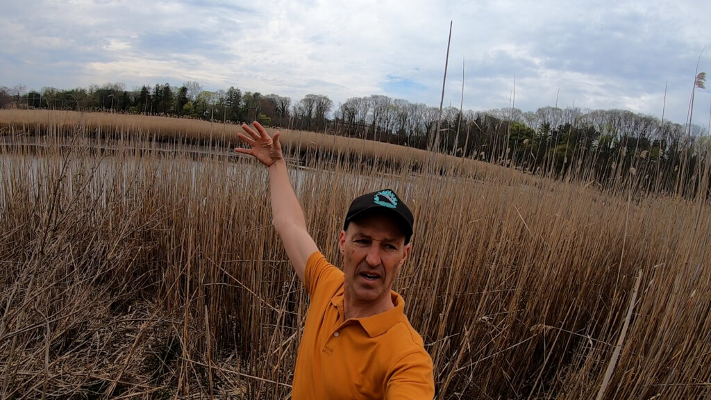 Swimming River Chapin Avenue public access Brian Donohue video